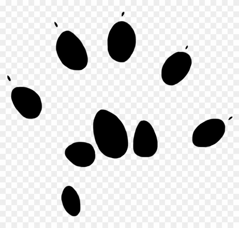 Png Paw Print - Portable Network Graphics #611958