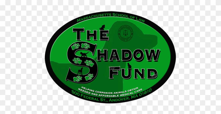 The Shadow Fund Cannot Be Used For Routine Medical - Massachusetts School Of Law #618988