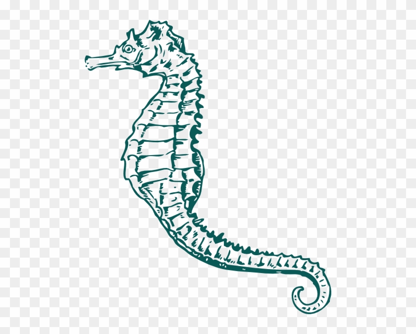 Sea Horse Clip Art #628878