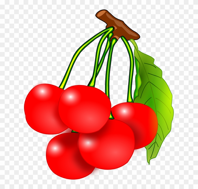 Cartoon Cherry Cliparts 12, - Red Cherry Clipart #629304