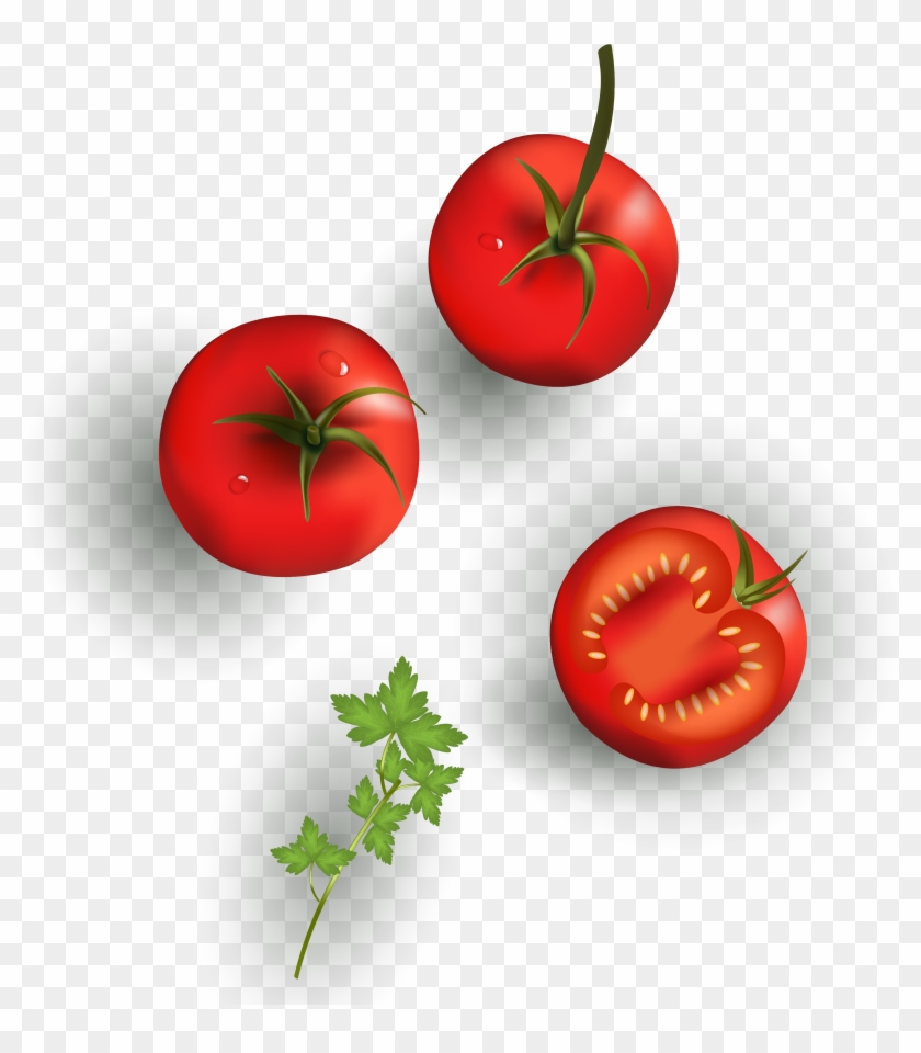 Cherry Tomato Vegetable Drawing Food Tomato Free Transparent PNG
