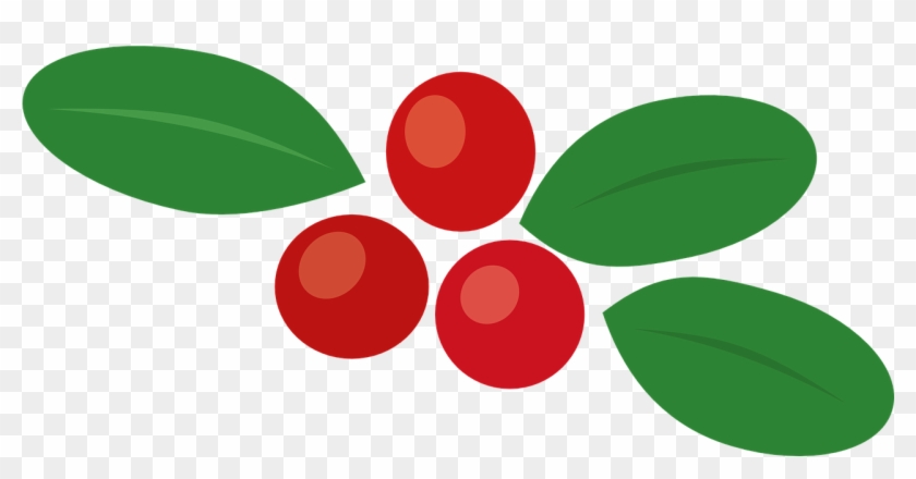 Cowberry Berry Autumn Leaf Food Png Image - Berry Bushes Vector Png #629786