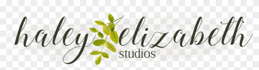 Haley Elizabeth Studios - Haley Elizabeth Studios - Free Transparent 