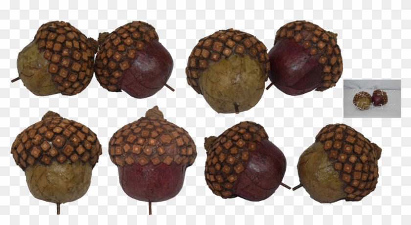 Acorns Png Stock By Mom-espeace - Portable Network Graphics #631579