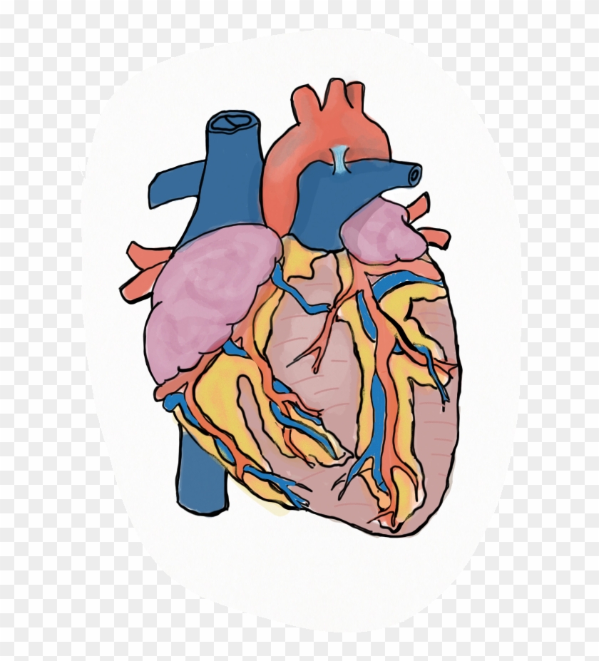 Heartdiagram-lydiaritter - Personal Injury #632994