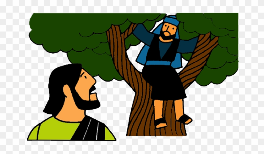3 Zacchaeus Meets Jesus - Zacchaeus Meets Jesus #117392