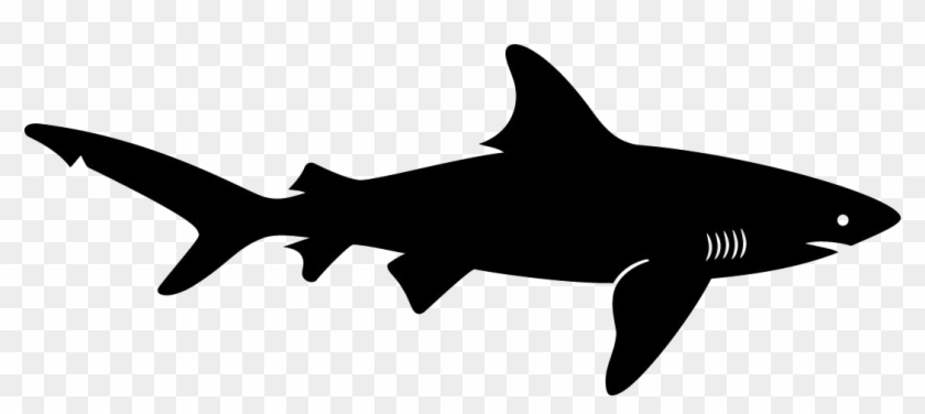 Shadow Clipart Shark - Silhouette Of A Shark #638474