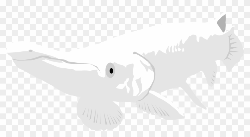 Albino Alligator Gar By Michell - Albino Alligator Gar Png #644499