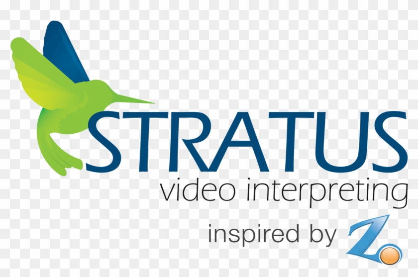 Stratus Video Interpreting - Stratus Video #645949