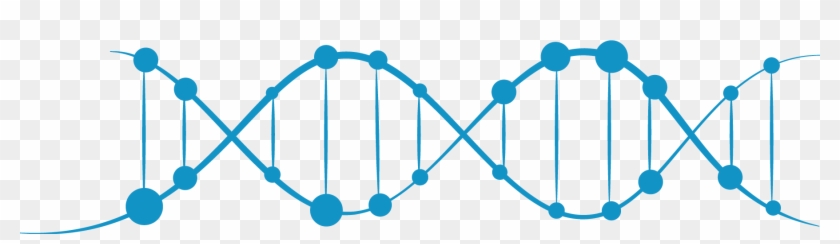 And Represents Several Decades Of Cumulative Experience - Dna #650835