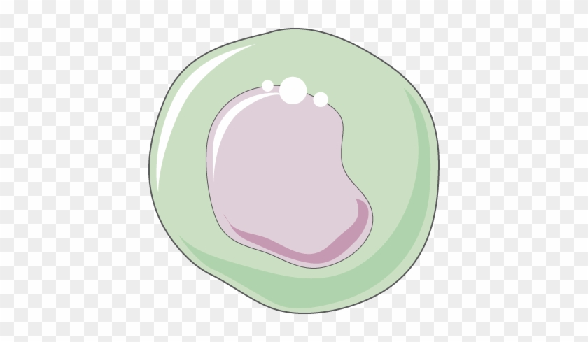 Monocyte - Illustration #652345