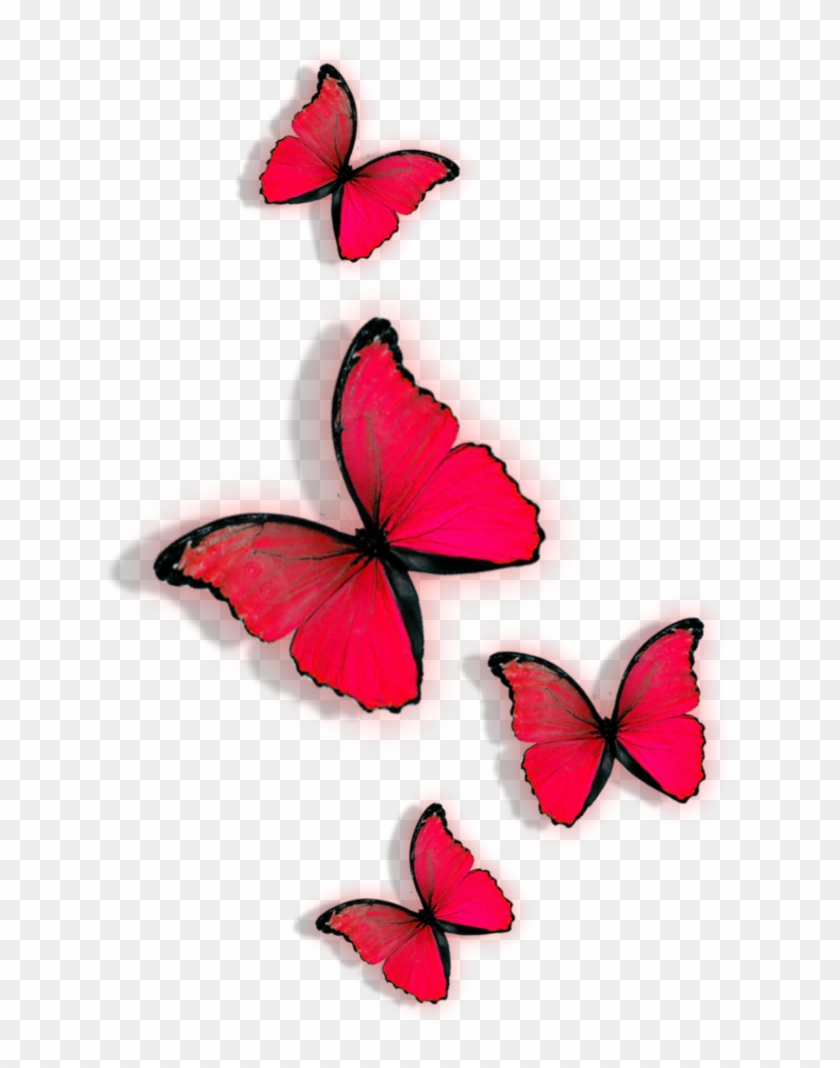 Butterfly Red Clip Art - Red Buterlfy Png #657828