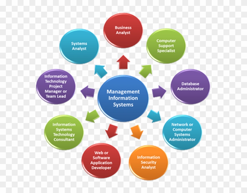 Management Information System Consultancy - Career Growth In Bpo #658324