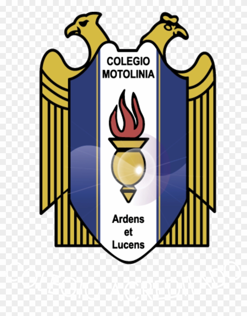 Colegio Motolinia #658904