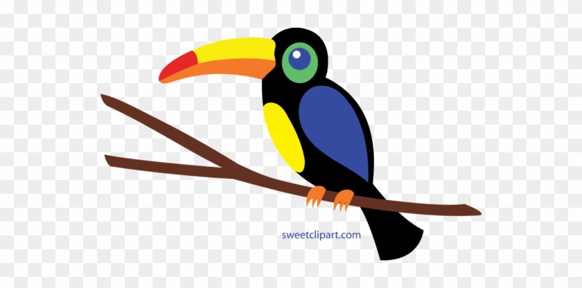 Toucan Clipart Face - Toucan Clipart #659885