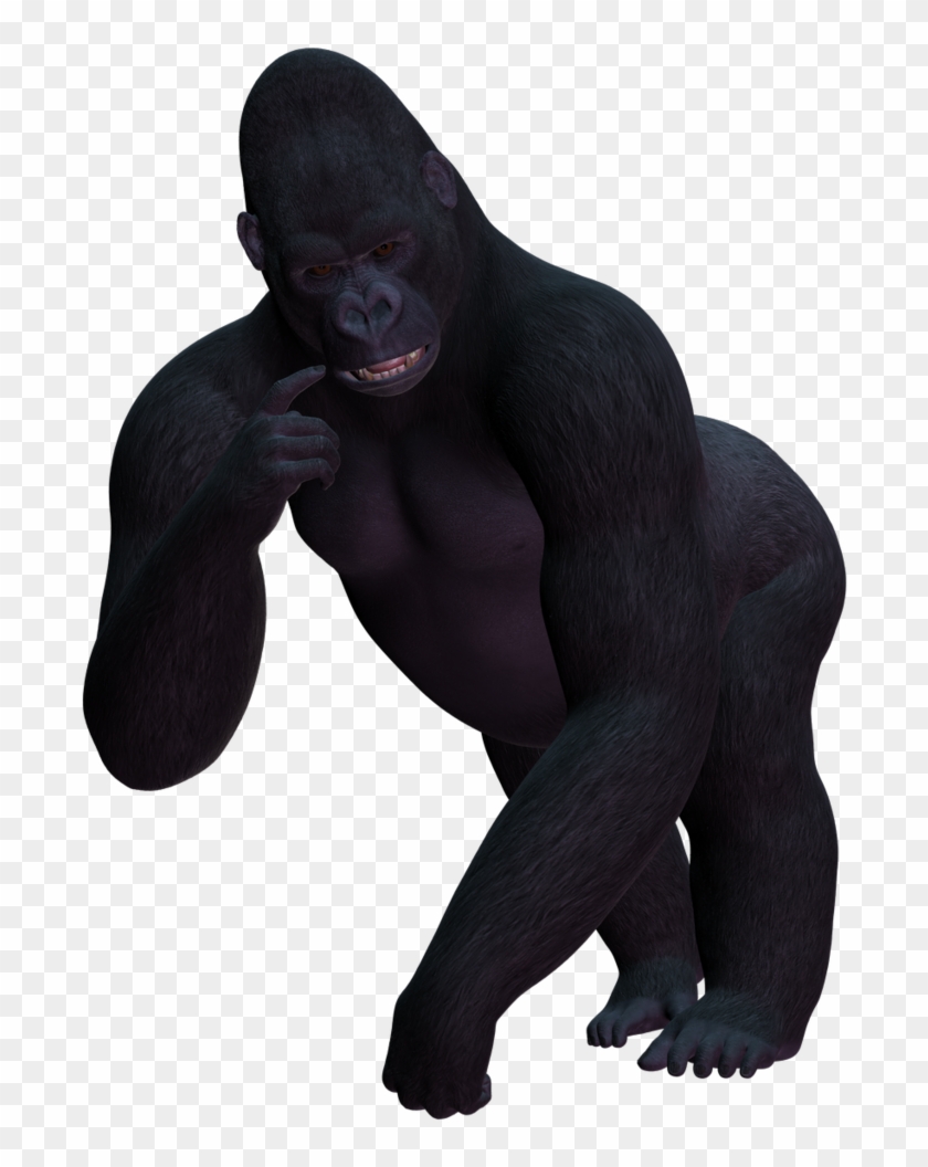 Browse And Download Gorilla Png Pictures Image - Female Gorilla Png #661113