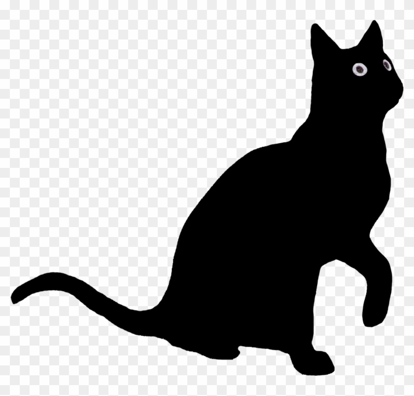 Evil Black Anime Cats Cute Anime Cat HD wallpaper  Pxfuel