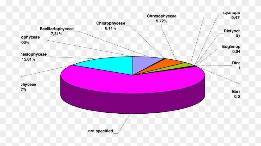 Composition Of The Phytoplankton Sample Of The North - Diagram #678014