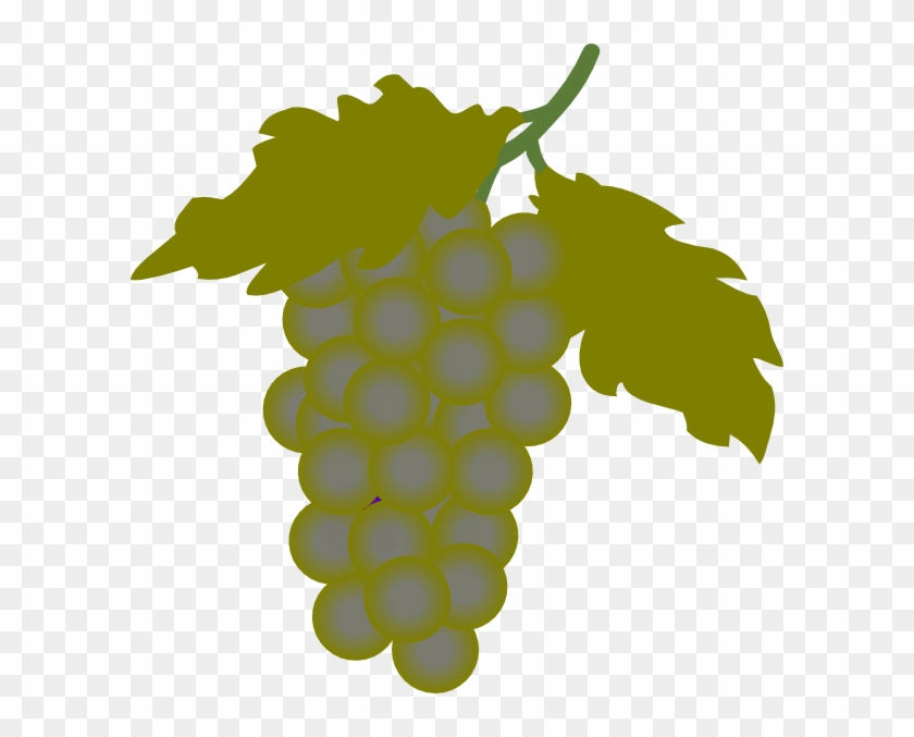 Grapes Clip Art #684665