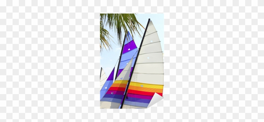 Sticker Hobie Cat Coloré Voiles Palmier Feuille • Pixers® - Sail #687914