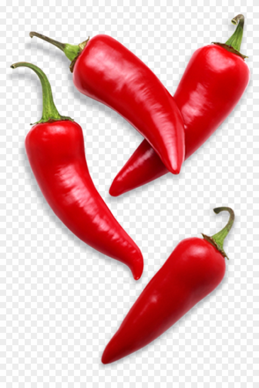 Red chilli pepper 22962240 PNG