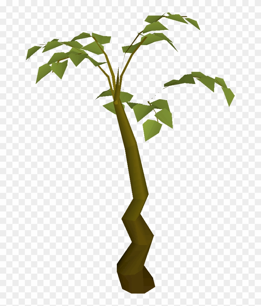 Tall Plant Built - Old School Runescape #690213