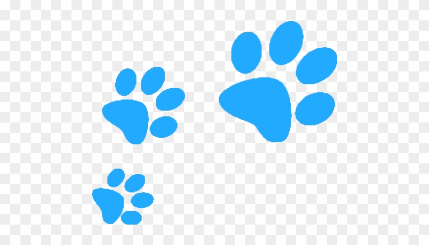 Dog Walking - Transparent Background Paw Print Clip Art #691255