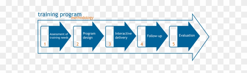 Our Methodology Enables Us To Deliver Fully Tailored - Diagram #691364