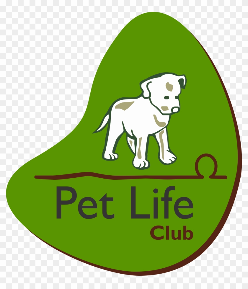 Petlifeclub Creche E Hotel Para Cães Em Guarulhos Hotel - Pet Life Club - Hotel And Kindergarten (daycare) For #691471