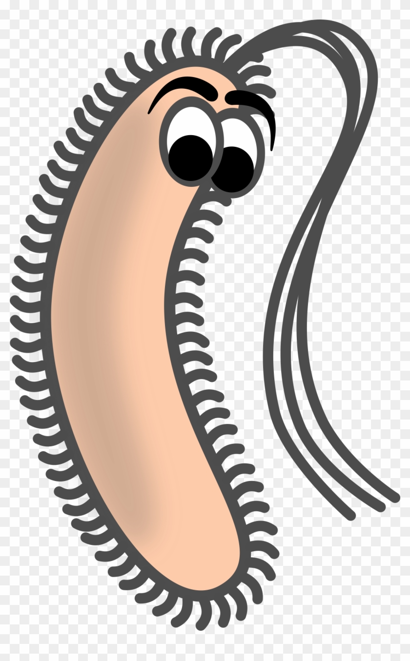 Bacillus - Bacillus Clip Art #693018