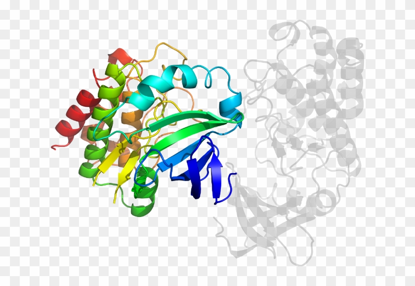 D5xkab In Context Of Pdb - Graphic Design #696423