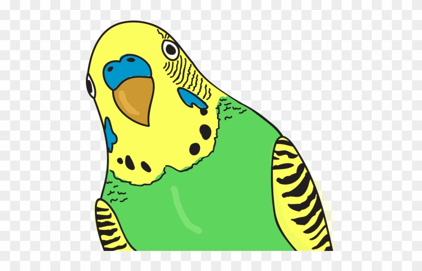 Mascot Parrot - Mascot #699171