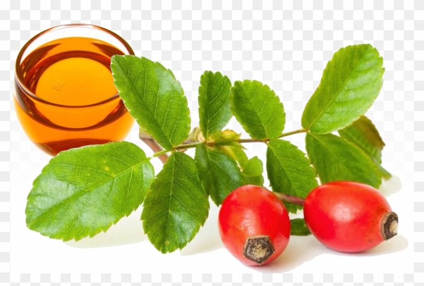 Hagebuttenöl Rosehip Oil - Rosehip Oil Benefits For Skin #701455