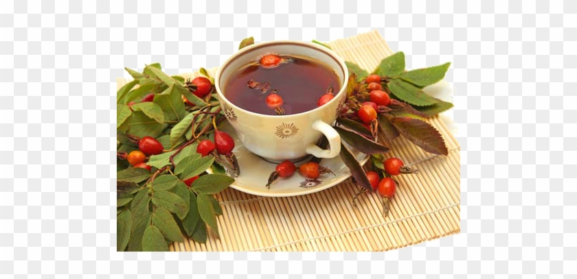 Rose Hips Tea - Питани Для Печени #701517