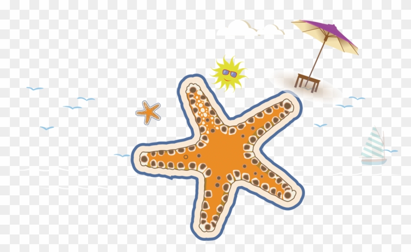 Cartoon Starfish Decoration 1133*688 Transprent Png - Cartoon Starfish Decoration 1133*688 Transprent Png #705137