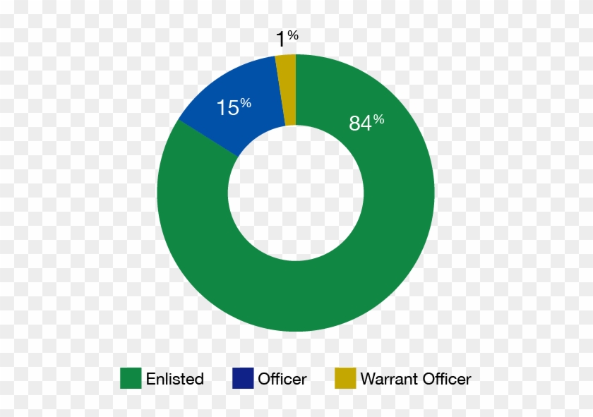 Military Workforce Structure - Circle #706164