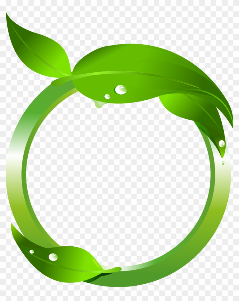 Maple Leaf Green Clip Art - Leafs Vector Png - Free Transparent PNG ...