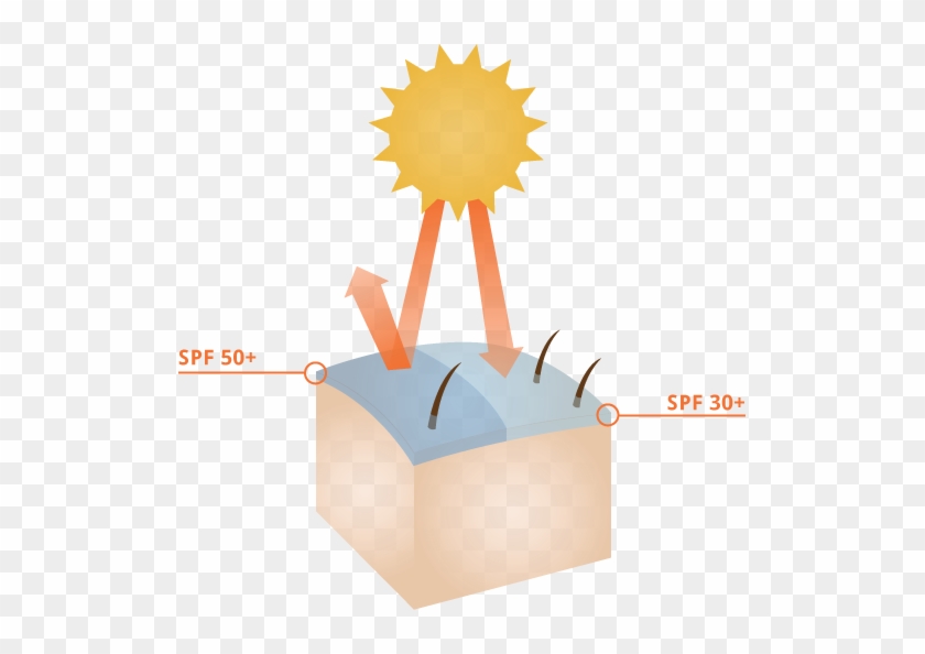 Pakaian Adalah Pelindung Asas - Spf 50 Png #709916