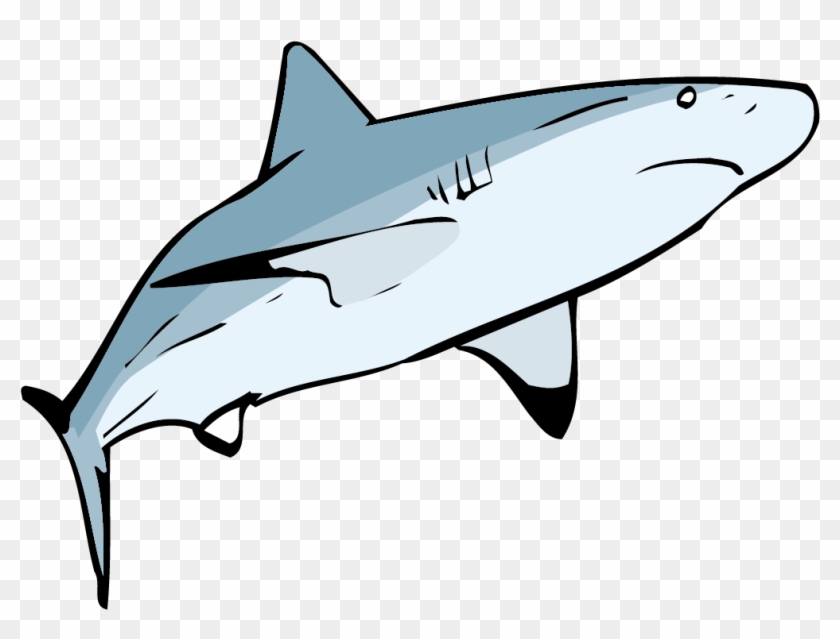 Requiem Shark Clip Art - Euclidean Vector #713283