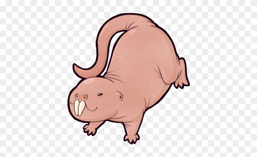 I Love Naked Mole Rats - I Love Naked Mole Rats #713666