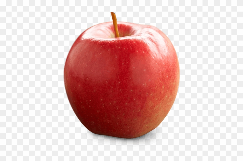 Red Apple - Ambrosia #716878