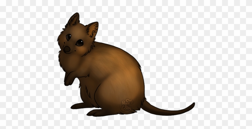 Quokka Clipart Happy - Quokkas Cartoon #717877