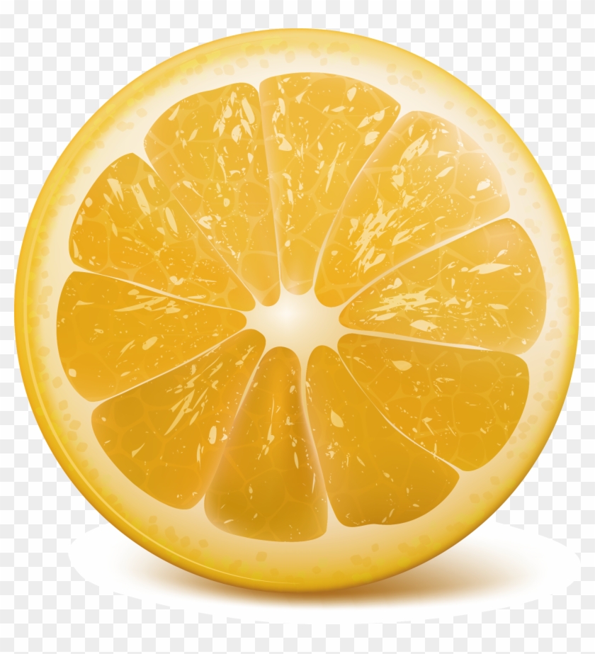 Lemon Orange Clip Art - Lemon Sliced #720615