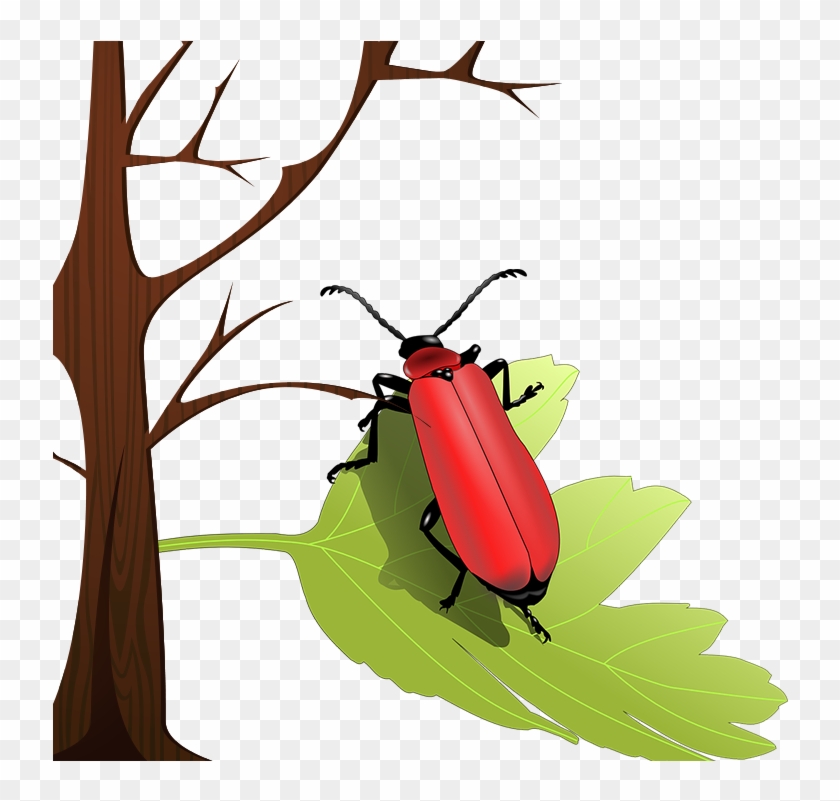 Volkswagen Beetle Ladybird Insect Wing Clip Art - Volkswagen Beetle Ladybird Insect Wing Clip Art #723104