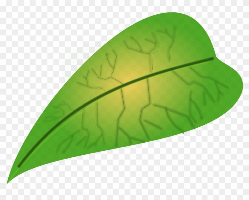 Green Leaf Small Clipart 300pixel Size, Free Design - ใบไม้ สี เขียว การ์ตูน #137802