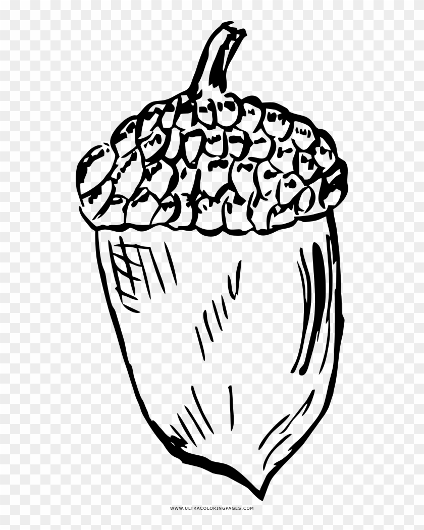 Important Acorn Coloring Pages Page Ultra - Drawing - Full Size PNG ...