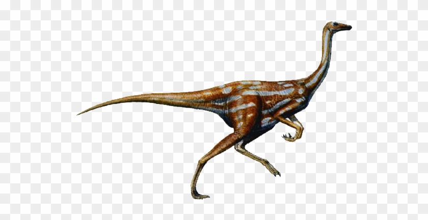 Dinosaur Png - Ornithomimus Dinosaur #732299