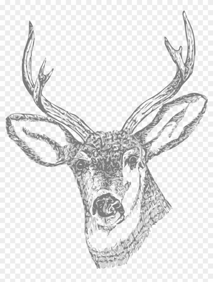 Ryanlerch Deer Head Bclipart - Deer Png #732985