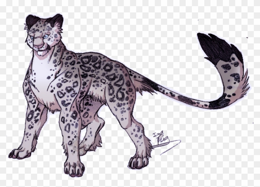 Premium Vector  Snow leopard hand drawn doodle sketch in pop art style  vector illustration