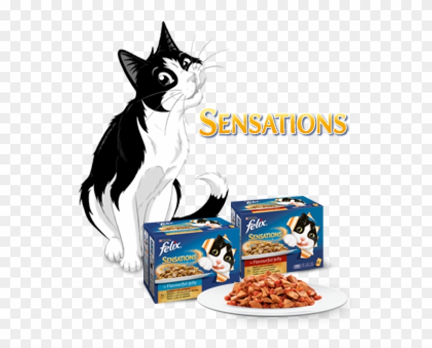 Felix Sensations #742469